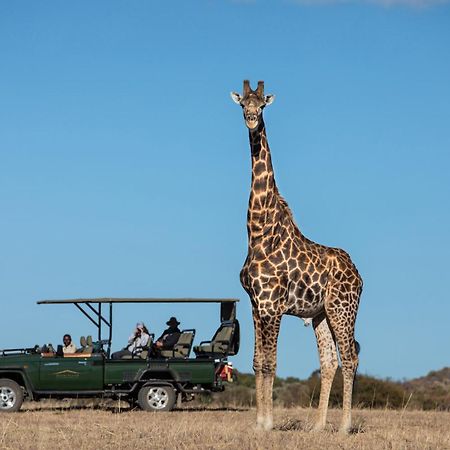 הוילה Mabula Game Reserve Safari Plains מראה חיצוני תמונה