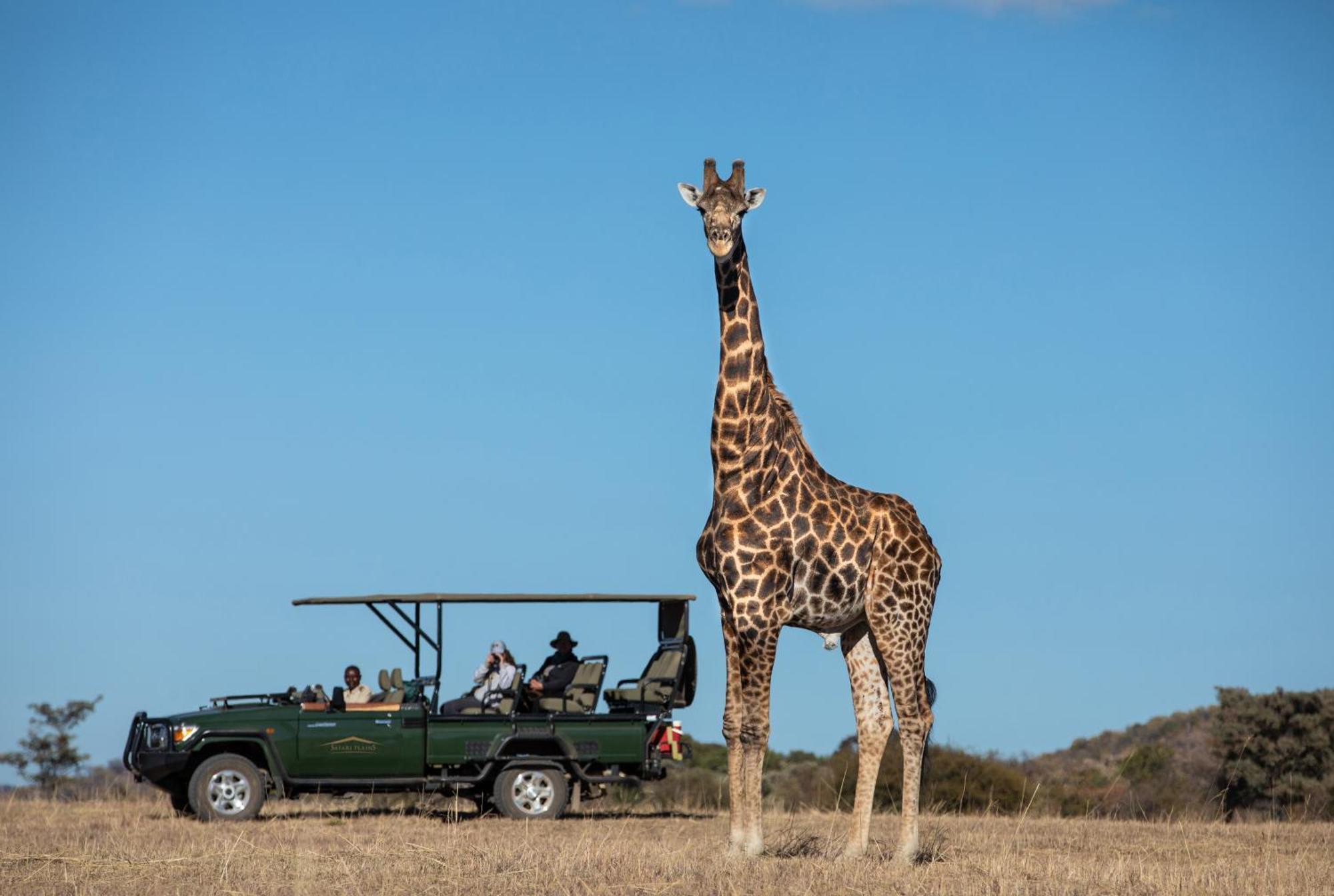 הוילה Mabula Game Reserve Safari Plains מראה חיצוני תמונה