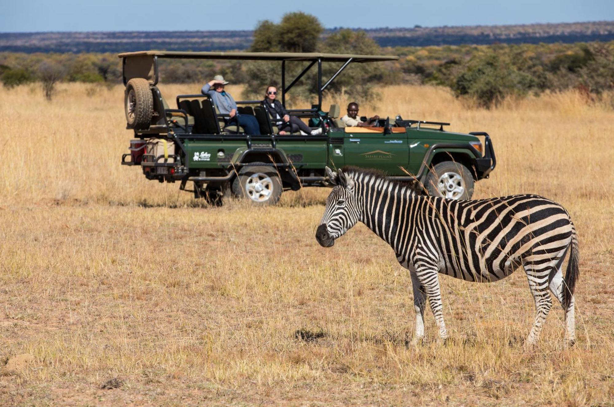 הוילה Mabula Game Reserve Safari Plains מראה חיצוני תמונה