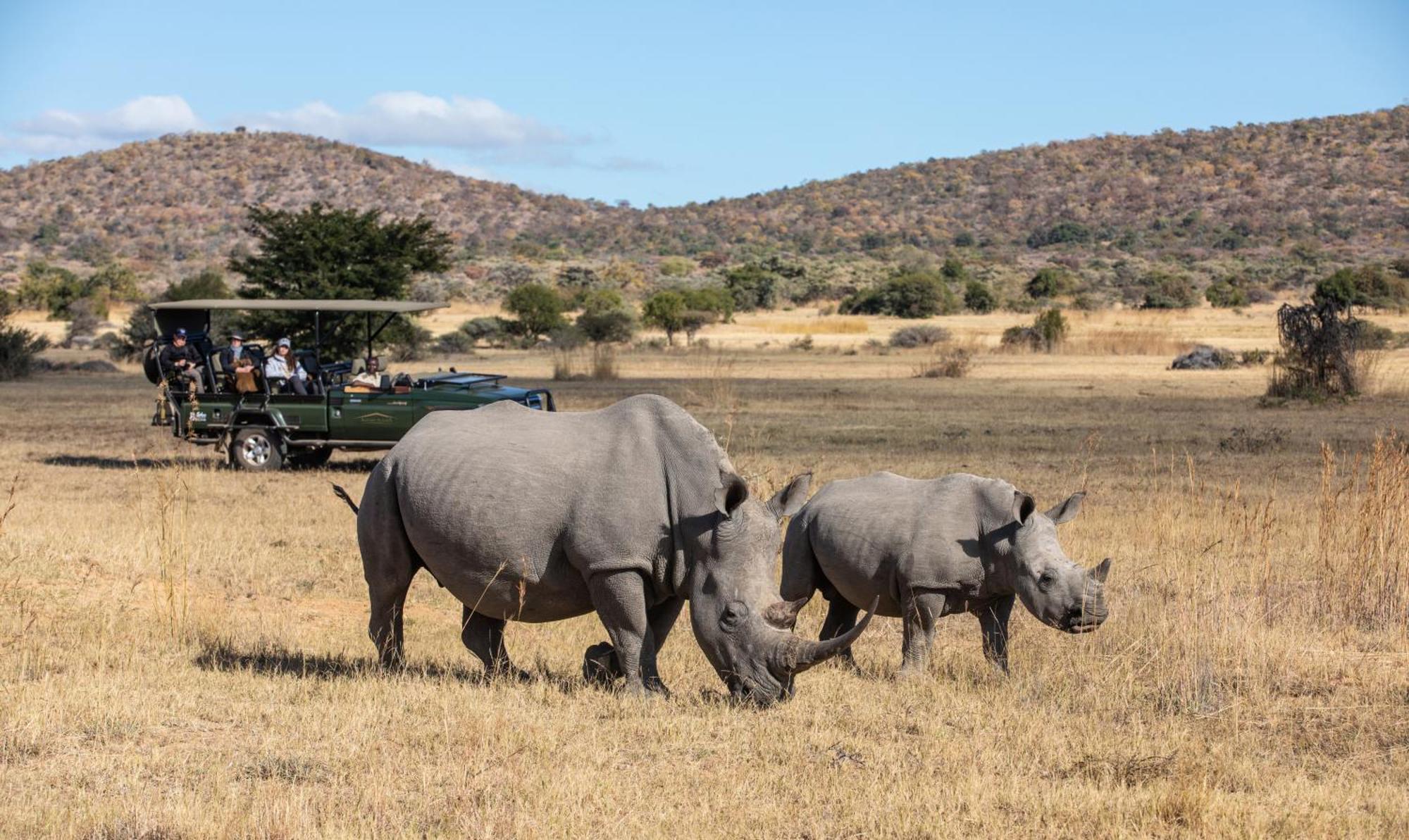 הוילה Mabula Game Reserve Safari Plains מראה חיצוני תמונה