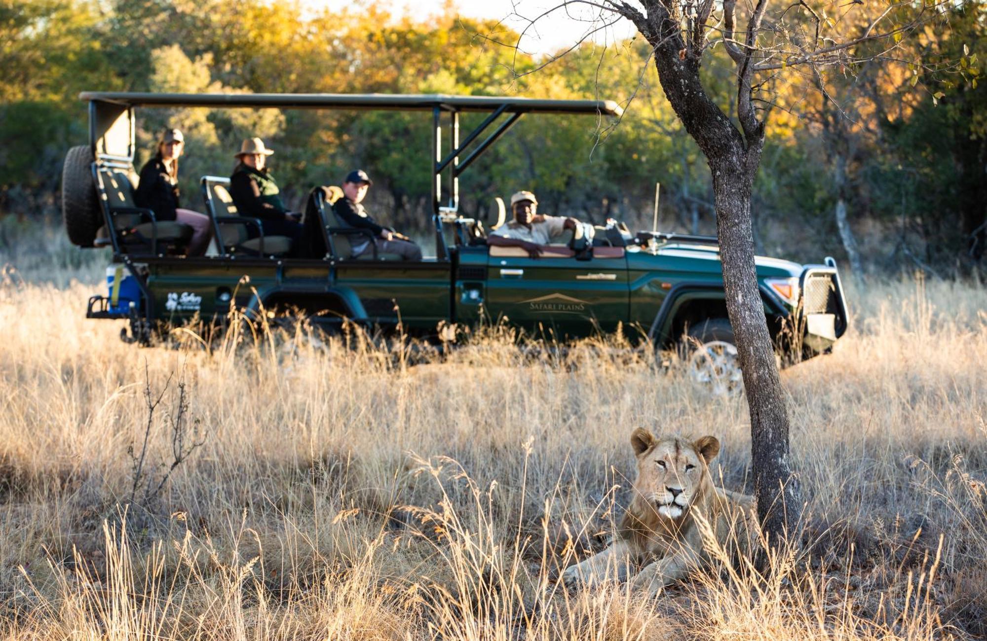 הוילה Mabula Game Reserve Safari Plains מראה חיצוני תמונה