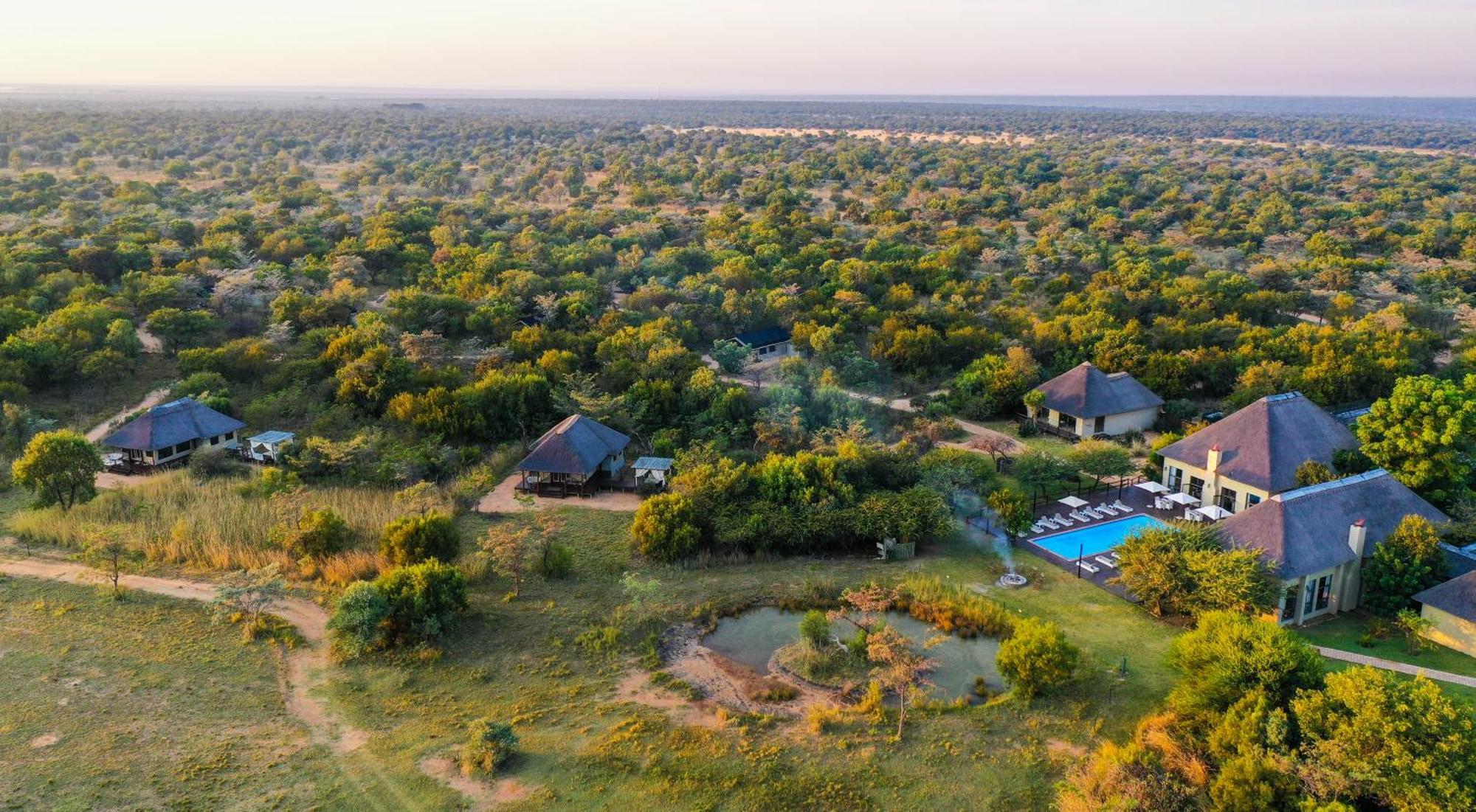 הוילה Mabula Game Reserve Safari Plains מראה חיצוני תמונה