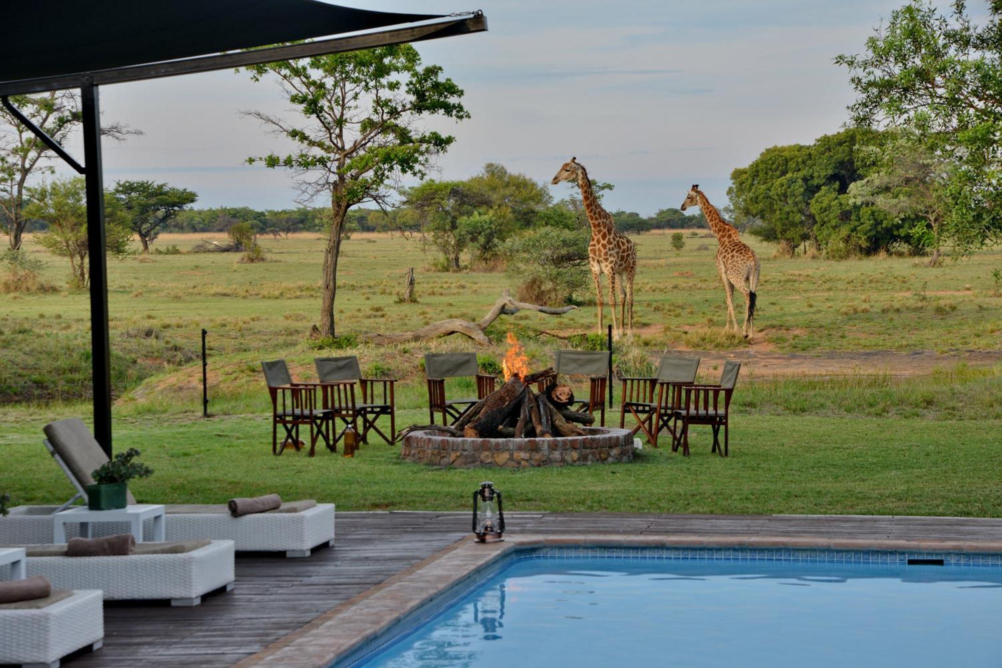 הוילה Mabula Game Reserve Safari Plains מראה חיצוני תמונה